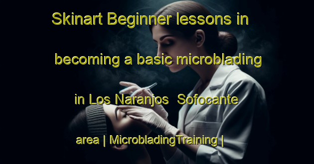 Skinart Beginner lessons in becoming a basic microblading in Los Naranjos  Sofocante area | MicrobladingTraining | MicrobladingClasses | SkinartTraining-Mexico